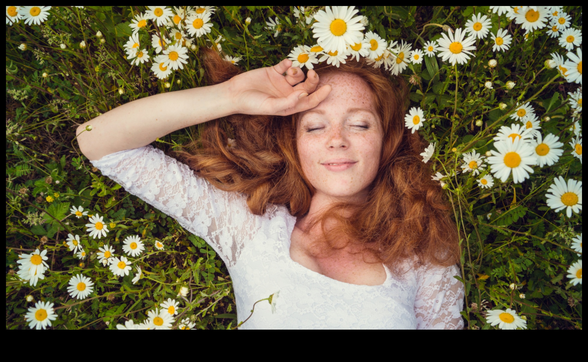 שקט בוקר: התחל את היום שלך עם המגע המרגיע של קמומיל