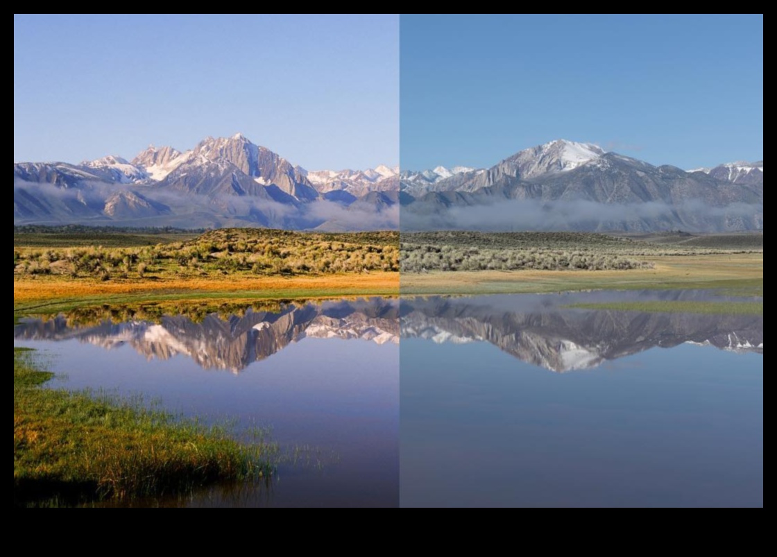 צבע קולנועי: מצלמות עם אפשרויות מקצועיות לדירוג צבע