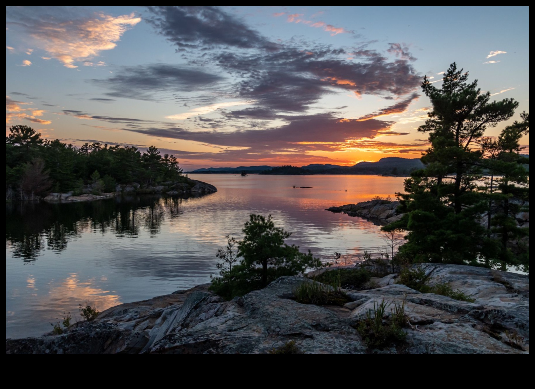 הטבע בצבע: ללכוד את היופי של החי והצומח בעיפרון