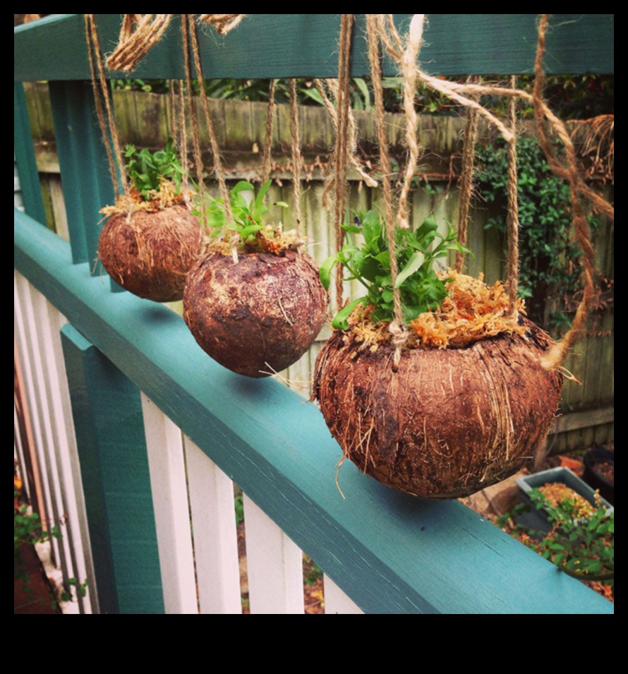 עשה זאת בעצמך מהפכת הקוקוס 50+ דרכים יצירתיות לחדש את הקוקוס שלך 3 מהפכת הקוקוס בעצמך: שחרר את היצירתיות שלך ביצירה טרופית