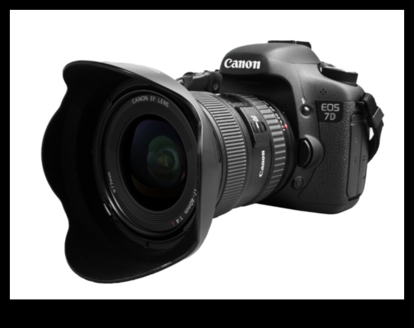 DSLR Dreams מדריך לעולם של מצלמות רפלקס דיגיטליות עם עדשה אחת 4 חלומות DSLR: ניווט בעולם של מצלמות רפלקס דיגיטליות עם עדשה אחת