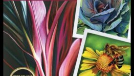 ההנאה של רשימה בעיפרון תוסס 6 קסם הגוונים: יצירת סצנות קסומות עם עפרונות צבעוניים