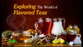 חליטות תה מגוונות: מעלה את חווית התה הקרח בטעמים שלך