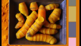 כורכום סימפוניה פלטת טעמים תוססת למנות הבריאות האינדיבידואלי שלך 1 סימפוניית כורכום: הרמוניה של טעמים ביצירה הבריאותית שלך