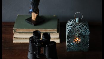 נרטיבים אילמים: יצירת סיפורים באמצעות טבע דומם