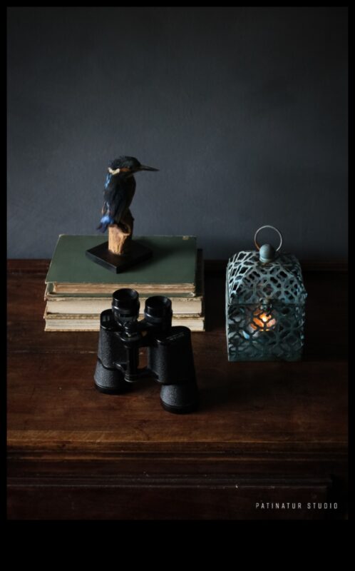 נרטיבים אילמים: יצירת סיפורים באמצעות טבע דומם