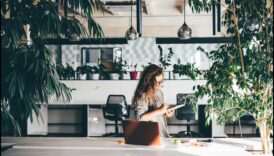 עיצוב ביופילי המכניס את הטבע פנימה 5 אמבס את הטבע: שילוב מושגי קישוט ביופיליים בבית שלך