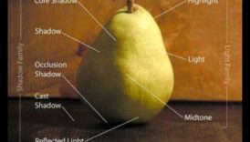 שלווה בצללים: חקר אור וטבע דומם