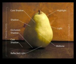 שלווה בצללים: חקר אור וטבע דומם