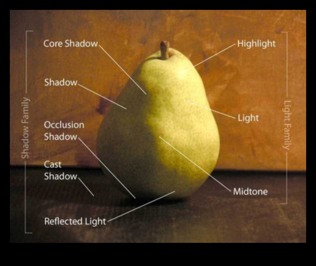 שלווה בצללים: חקר אור וטבע דומם